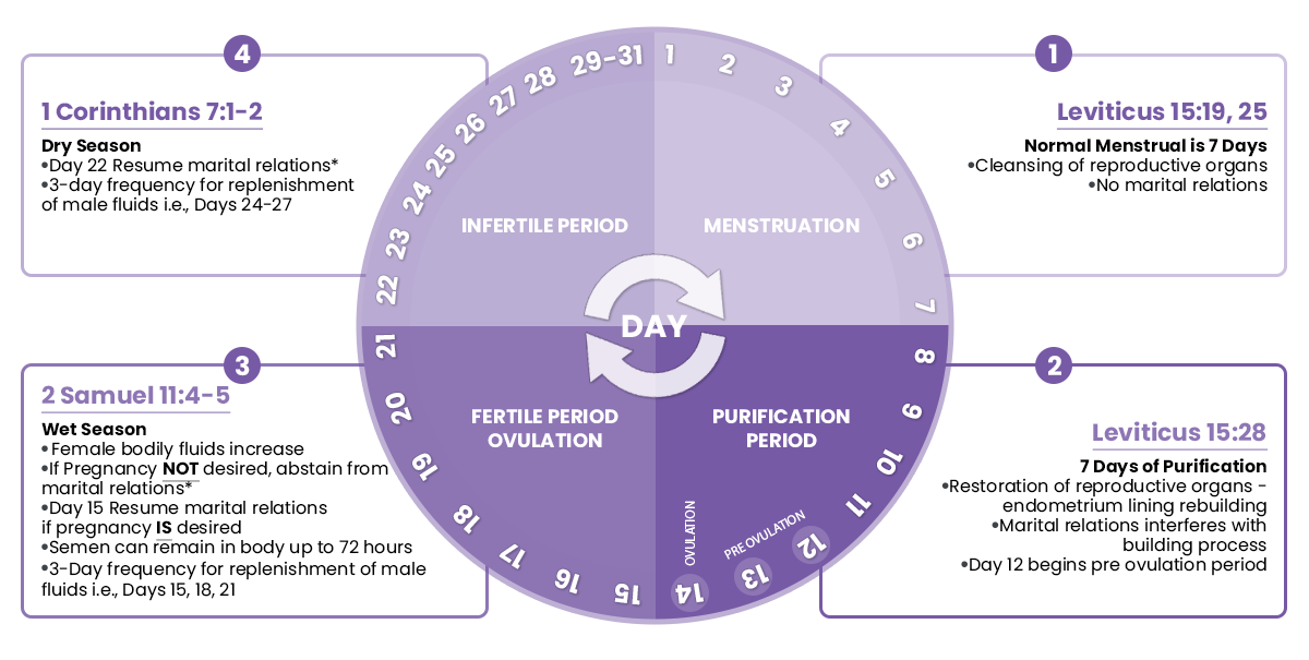 Fertility Cycle Family Plan Chart